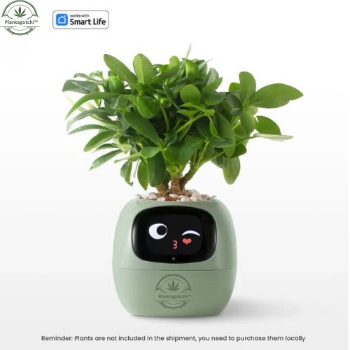 Plantagotchi™ Smart Plant Care