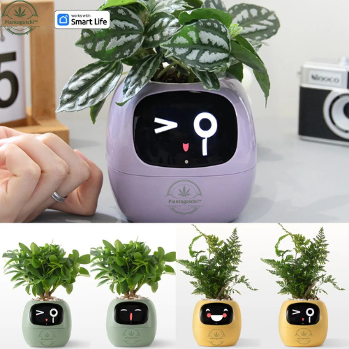 Plantagotchi™ Smart Plant Care