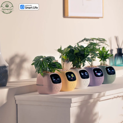 Plantagotchi™ Smart Plant Care